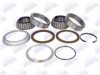 SAF 3307303000 Wheel Bearing Kit